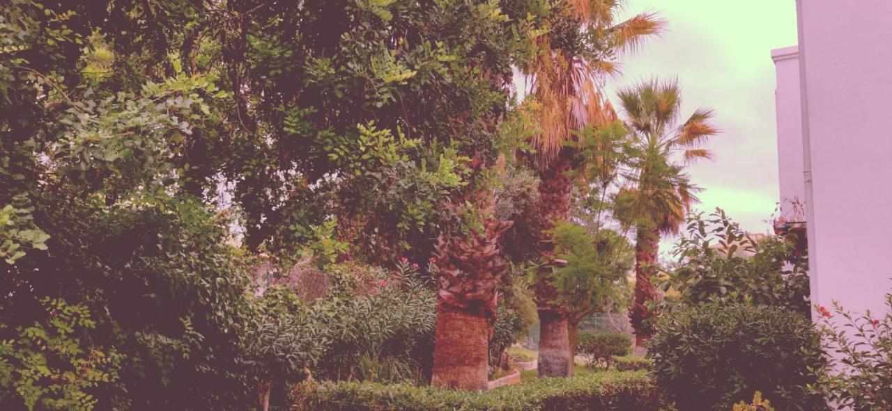 Cantinho Azul - Tavira Garden מראה חיצוני תמונה